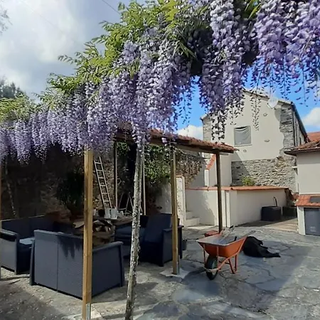 Casa De Coco Vila Vila Nova de Poiares Exterior foto