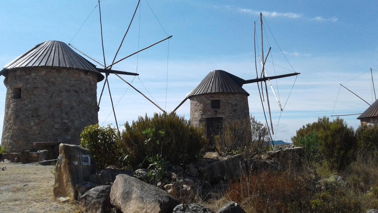 Hébergement de vacances Casa De Coco Vila Nova de Poiares