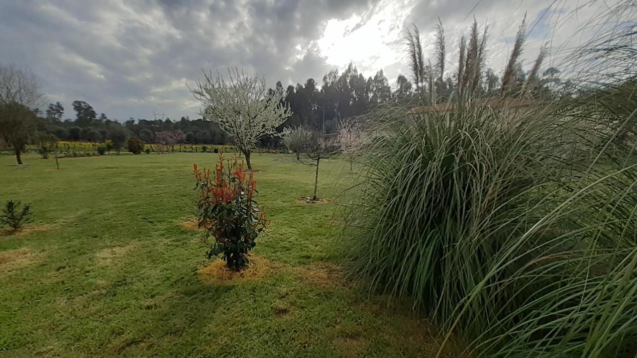 Casa De Coco Hébergement de vacances Vila Nova de Poiares
