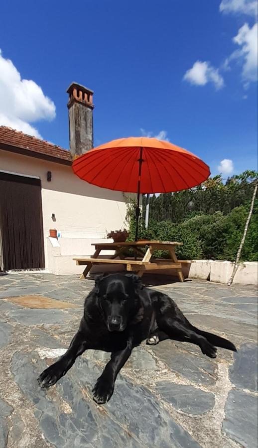 Casa De Coco Hébergement de vacances *